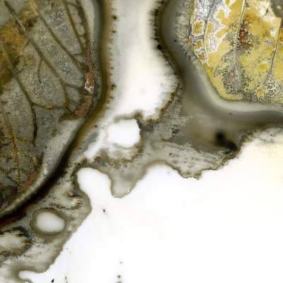 Leaf No.7 c3